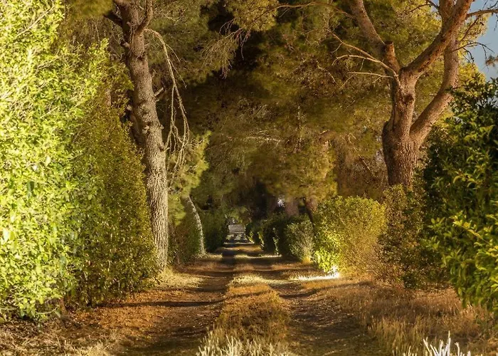 Salento Con Piscina 3* Lecce