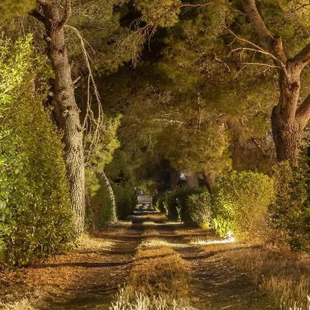 Salento Con Piscina 3* Λέτσε